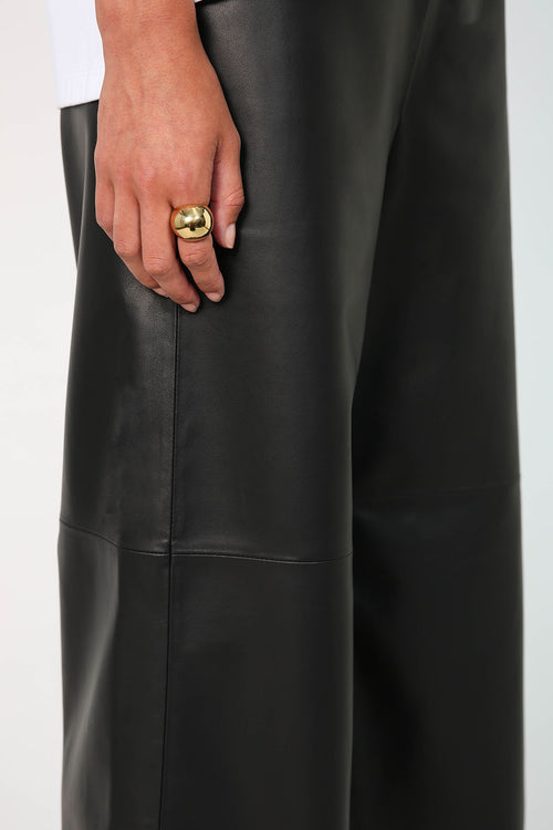 luxe glowed pant / black leather